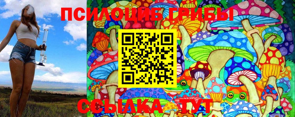 Кудымкар  Галлюциногенные грибы Psilocybe  Вход с VPN  Галлюциногенные грибы мицелий 