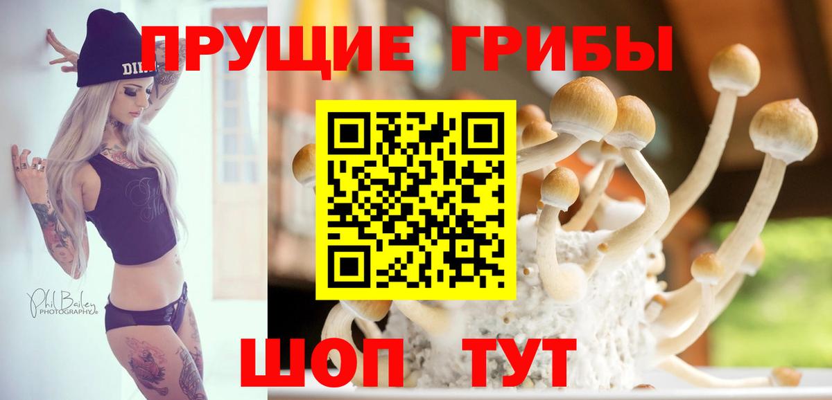 Галлюциногенные грибы мухоморы Кудымкар
